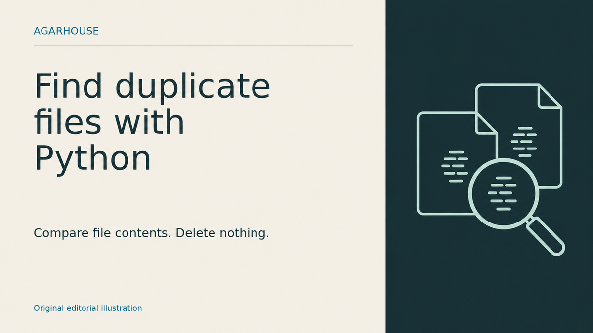 Find Duplicate Files with Python Without Deleting Anything